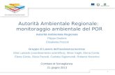 Autorità Ambientale Regionale: monitoraggio ambientale del POR Autorità Ambientale Regionale Filippo Dadone Elisabetta Pozzoli Gruppo di Lavoro dellassistenza.