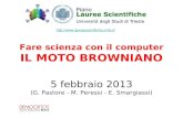 Fare scienza con il computer IL MOTO BROWNIANO 5 febbraio 2013 (G. Pastore - M. Peressi - E. Smargiassi) :