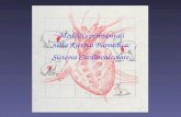 Modelli sperimentali nella Ricerca Biomedica: Sistema Cardiovascolare.