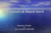 I comuni di Napoli Nord Pasquale DAngelo I C Anno scolastico 2008-2009.