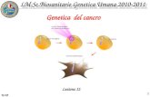 By NA 1 Genetica del cancro Lezione 12. By NA 2 Il tumore come network Carcinoma del colon Esempio di progressione a tappe da tumore benigno a tumore.