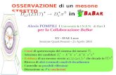 OSSERVAZIONE di un mesone STRETTO XV IFAE Lecce in Alexis POMPILI ( Università & I.N.F.N. di Bari ) per la Collaborazione BaBar Sessione Quark Pesanti.