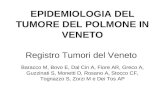 EPIDEMIOLOGIA DEL TUMORE DEL POLMONE IN VENETO Registro Tumori del Veneto Baracco M, Bovo E, Dal Cin A, Fiore AR, Greco A, Guzzinati S, Monetti D, Rosano.