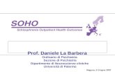 Prof. Daniele La Barbera Ordinario di Psichiatria Sezione di Psichiatria Dipartimento di Neuroscienze cliniche Università di Palermo Ragusa, 5 Giugno 2007.