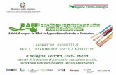 LABORATORI PRODUTTIVI PER L INSERIMENTO SOCIO-LAVORATIVO a Bologna, Ferrara, Forlì-Cesena attivit à di inclusione di persone in esecuzione penale, all.