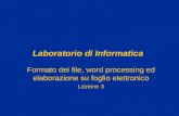 Laboratorio di Informatica Formato dei file, word processing ed elaborazione su foglio elettronico Lezione 3.