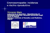 Cromosomopatie: incidenza e rischio riproduttivo Vincenzo Nigro Laboratorio di genetica - Dipartimento di Patologia Generale, Seconda Università degli.