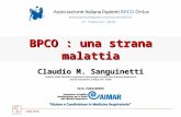 CMS 2010 BPCO : una strana malattia Claudio M. Sanguinetti Direttore Unità Operativa Complessa di Pneumologia eTerapia Semi-Intensiva Respiratoria Azienda.
