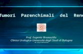 Tumori Parenchimali del Rene Prof. Eugenio Brunociilla Clinica Urologica Università degli Studi di Bologna Dir. Prof. G.Martorana.