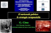 G. Cina U.O. Chirurgia Vascolare- Università Cattolica del Sacro Cuore-Roma Il varicocele pelvico: le strategie terapeutiche.