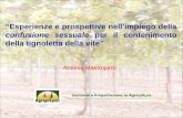 Gestione e Progettazione in Agricoltura Antonio Mastropirro Esperienze e prospettive nellimpiego della confusione sessuale per il contenimento della tignoletta.