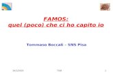 16/1/2003TISB1 FAMOS: quel (poco) che ci ho capito io Tommaso Boccali – SNS Pisa.