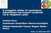 Il progetto pilota di assistenza domiciliare nei tumori cerebrali I.R.E.-Regione Lazio Andrea Pace Assistenza Domiciliare Neuro-oncologica Istituto Nazionale.