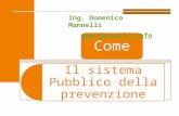 Il sistema Pubblico della prevenzione Come ing. Domenico Mannelli ww wwww wwww.... mmmm aaaa nnnn nnnn eeee llll llll iiii.... iiii nnnn ffff oooo.