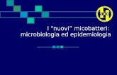 I nuovi micobatteri: microbiologia ed epidemiologia.