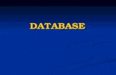 DATABASE. Sistemi di gestione di basi di dati (DBMS) I database (basi di dati) sono degli insiemi organizzati di dati. Un sistema di gestione delle basi