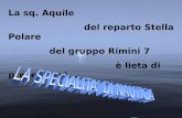 La sq. Aquile del reparto Stella Polare del gruppo Rimini 7 è lieta di presentarvi...