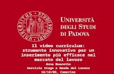 Il video curriculum: strumento innovativo per un inserimento più efficace nel mercato del lavoro Anna Boaretto Servizio Stage e Mondo del Lavoro 16/10/09,