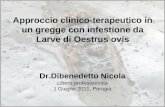 Approccio clinico-terapeutico in un gregge con infestione da Larve di Oestrus ovis Dr.Dibenedetto Nicola Libero professionista 1 Giugno 2011, Perugia.