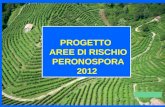PROGETTO AREE DI RISCHIO AREE DI RISCHIO PERONOSPORA PERONOSPORA2012.
