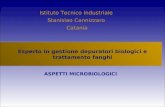 Esperto in gestione depuratori biologici e trattamento fanghi ASPETTI MICROBIOLOGICI Istituto Tecnico Industriale Stanislao Cannizzaro Catania.