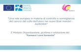 Una rete europea in materia di controllo e sorveglianza del cancro del collo dell'utero nei nuovi Stati membri - AURORA 3 ° Modulo: Organizzazione, gestione.