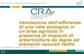 1 Valutazione dellefficienza di una rete ecologica in unarea agricola in presenza di impianti di arboricoltura da legno ed elementi naturali relitti CRA.