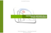 CONTROLLO DI GESTIONE DELLO STUDIO PROFESSIONALE Controllo di Gestione Serea Consulting S.r.l. – Servizi Reali Aziendali .