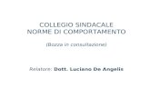 COLLEGIO SINDACALE NORME DI COMPORTAMENTO (Bozza in consultazione) Relatore: Dott. Luciano De Angelis.