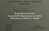 Assegnamento Canali/Frequenze in Reti Wireless MAN e WAN UNIVERSITA DEGLI STUDI DI PERUGIA Corso di Laurea Specialistica in Informatica Studente: Valentino.