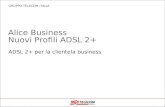 GRUPPO TELECOM ITALIA ADSL 2+ per la clientela business Alice Business Nuovi Profili ADSL 2+