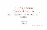 Il Sistema Immunitario Lic. Scientifico A. Meucci Aprilia Prof. Rolando Neri Seconda parte.