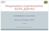 RAPPORTO DI SINTESI Invito al Budget 2014 2-12-2013 Fonte dei dati Flussi SIO, SIAS, SIES Diagnostica organizzativa AUSL Viterbo.