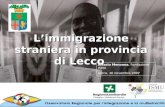 Limmigrazione straniera in provincia di Lecco Alessio Menonna, Fondazione ISMU Lecco, 16 novembre 2007.