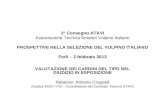2° Convegno ATAVI Associazione Tecnica Amatori Volpino Italiano PROSPETTIVE NELLA SELEZIONE DEL VOLPINO ITALIANO Forlì – 2 febbraio 2013 VALUTAZIONE DEI.