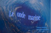 Partucci Michele Guardascione Enzo V^C ptm. Tipi di onde Le onde marine sono perturbazioni della superficie marina la cui propagazione comporta un trasferimento.