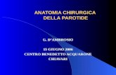 ANATOMIA CHIRURGICA DELLA PAROTIDE G. DAMBROSIO 15 GIUGNO 2006 CENTRO BENEDETTO ACQUARONE CHIAVARI.