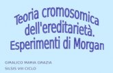 GIRALICO MARIA GRAZIA SILSIS VIII CICLO. PREREQUISITI Meiosi; cromosomi sessuali e autosomi; leggi di Mendel. OBIETTIVI Comprendere il significato della.