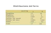 Distribuzione del ferro uomo di 70 Kg. Proteine coinvolte nel metabolismo del ferro Ferritina (intestino, fegato, midollo ossseo): trattiene 3000-4000.