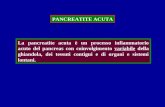 PANCREATITE ACUTA La pancreatite acuta è un processo infiammatorio acuto del pancreas con coinvolgimento variabile della ghiandola, dei tessuti contigui.
