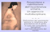 Prevenzione e riabilitazione dellincontinenza urinaria. Un approccio multidisciplinare. ~ ~ ~ Disfunzioni del pavimento pelvico in relazione alla gravidanza.