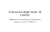 Università degli Studi di UDINE Diploma Universitario per Infermiere Anno Accademico 2010-11.