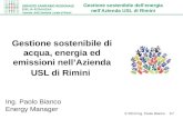 Gestione sostenibile dellenergia nellAzienda USL di Rimini © 2013 Ing. Paolo Bianco 1/7 Gestione sostenibile di acqua, energia ed emissioni nellAzienda.