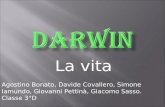 La vita Agostino Bonato, Davide Covallero, Simone Iamundo, Giovanni Pettinà, Giacomo Sasso. Classe 3°D.