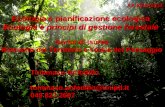 Ecologia e pianificazione ecologica Ecologia e principi di gestione forestale AA 2013-2014 Corso di laurea Riassetto del Territorio e Tutela del Paesaggio.
