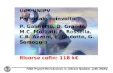 FIRB Project Microdevices in Lithium Niobate –UdR UNIPV UdR UNIPV Personale coinvolto P. Galinetto, D. Grando, M.C. Mozzati, F. Rossella, C.B. Azzoni,
