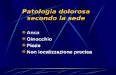 Patologia dolorosa secondo la sede Anca Ginocchio Piede Non localizzazione precisa.