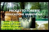 PROGETTO FORESTE EDUCAZIONE AMBIENTALE DANIELE VISSANI SIMONE CESARINI FRANCESCO CARLETTI.
