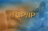 TCP/IP. Sommario  Introduzione al TCP/IP  Indirizzi IP  Subnet Mask  Frame IP  Meccanismi di comunicazione tra reti diverse  Classi di indirizzi.