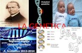 LA GENETICA Seghezzi Mattia Ghislotti Gianluca 3°D A. Scolastico 2013-2014 Scoperte scientifiche in campo della genetica Mutazioni genetiche Vari tipi.